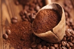 Giá cà phê hôm nay 30/11: Robusta tăng tiếp, Arabica hồi phục mạnh