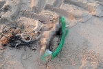 Điều tra vụ phát hiện một bàn chân người trên bãi biển ở Phan Thiết