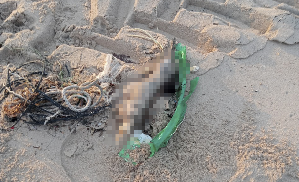 Bàn chân người được phát hiện trên bờ cát ở bãi biển. Ảnh: Phạm Duy