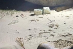 2 thi thể phân hủy dạt vào bờ biển Quảng Nam