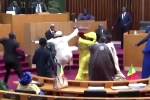 Nghị sĩ đang mang thai bị đá vào bụng khi họp Quốc hội Senegal