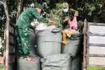 Phát hiện hàng tấn nội tạng động vật bốc mùi hôi ở biên giới Quảng Trị