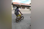 Người đàn ông dùng xe đạp trẻ em vận chuyển gỗ bằng đầu khiến cư dân mạng 'dậy sóng'