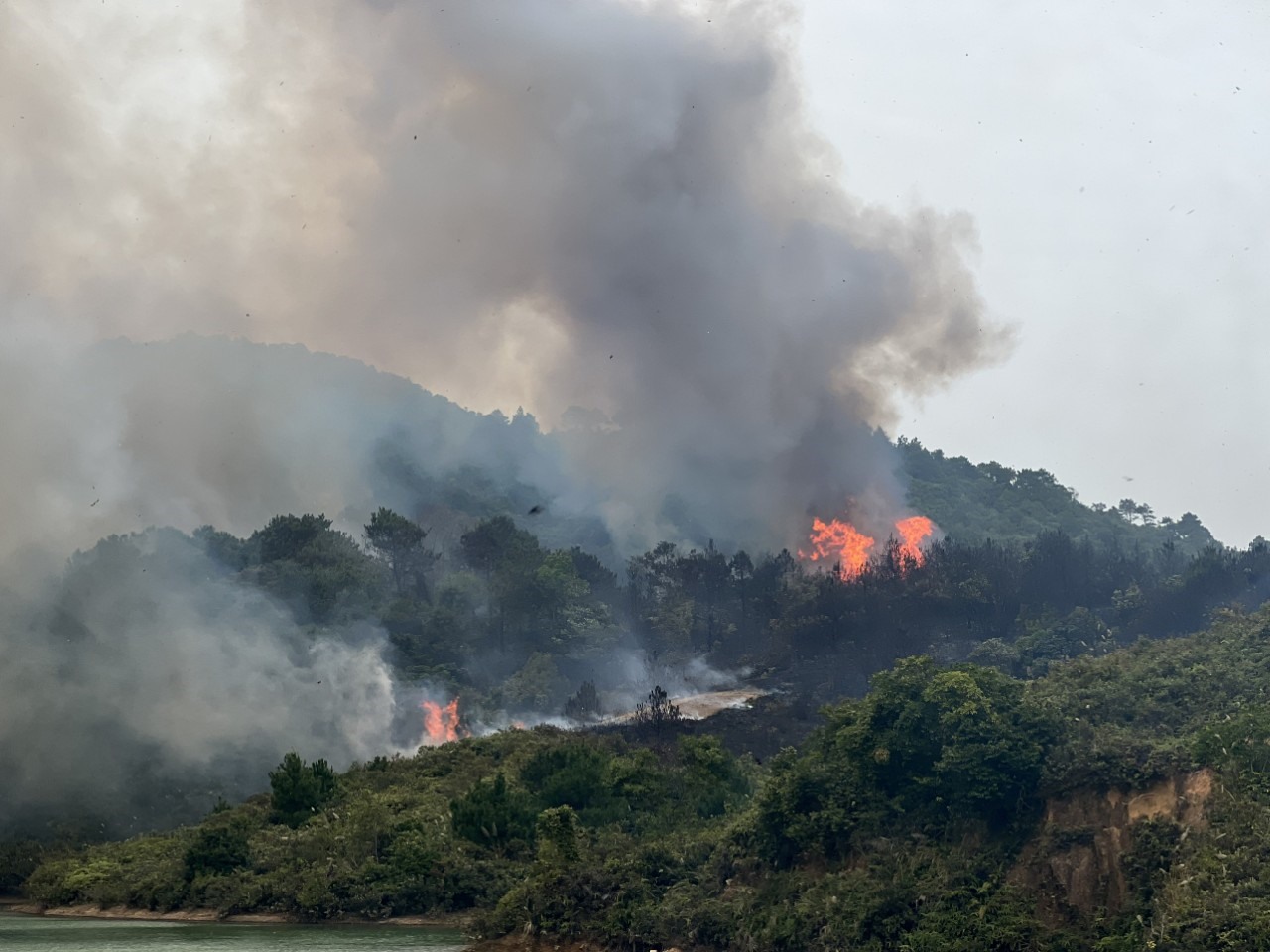 Quảng Ninh: Cháy lớn gây thiệt hại 6ha rừng