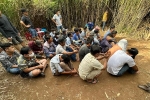Hàng chục cảnh sát bao vây bãi lau sậy, bắt giữ 32 người ở TP.HCM
