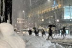 Tuyết rơi dày ở Nhật Bản khiến gần 20 người thiệt mạng