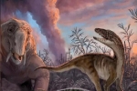 Loài người đang gặp lại vị 'tử thần' khiến khủng long trỗi dậy?