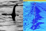 Nóng: Quái vật bí ẩn thời tiền sử ẩn náu ở hồ Loch Ness?