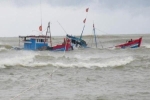 8 ngư dân Quảng Ngãi trôi dạt trên biển