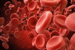Nhóm máu nào có nguy cơ mắc đột quỵ cao nhất?