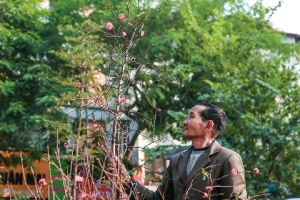 Đi nhặt hoa đào, lan đuốc đỏ bị vứt bỏ ngày 30 Tết ở Hà Nội