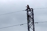 Cảnh sát giải cứu cô gái khỏa thân ngồi trên cột điện cao thế