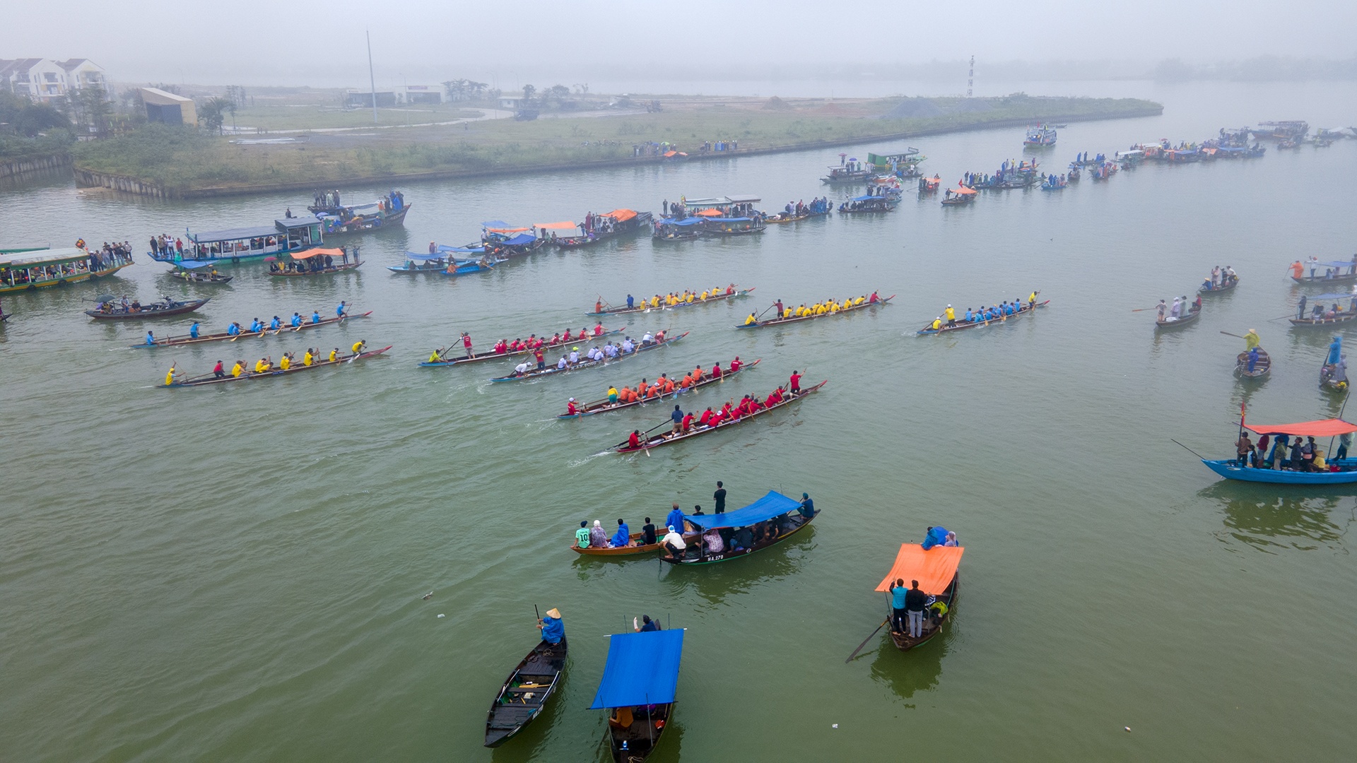 dua ghe Hoi An anh 1