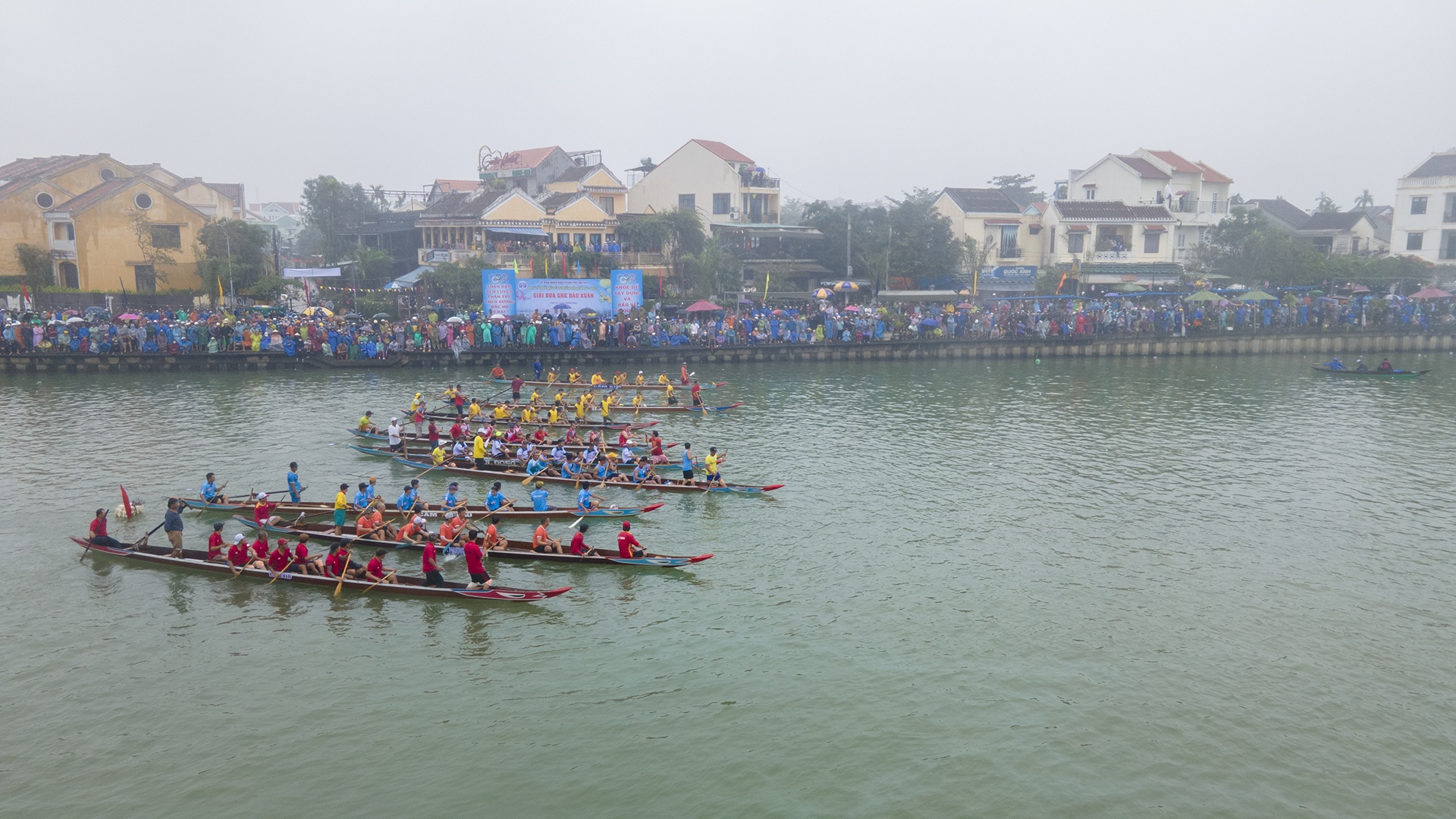 dua ghe Hoi An anh 2