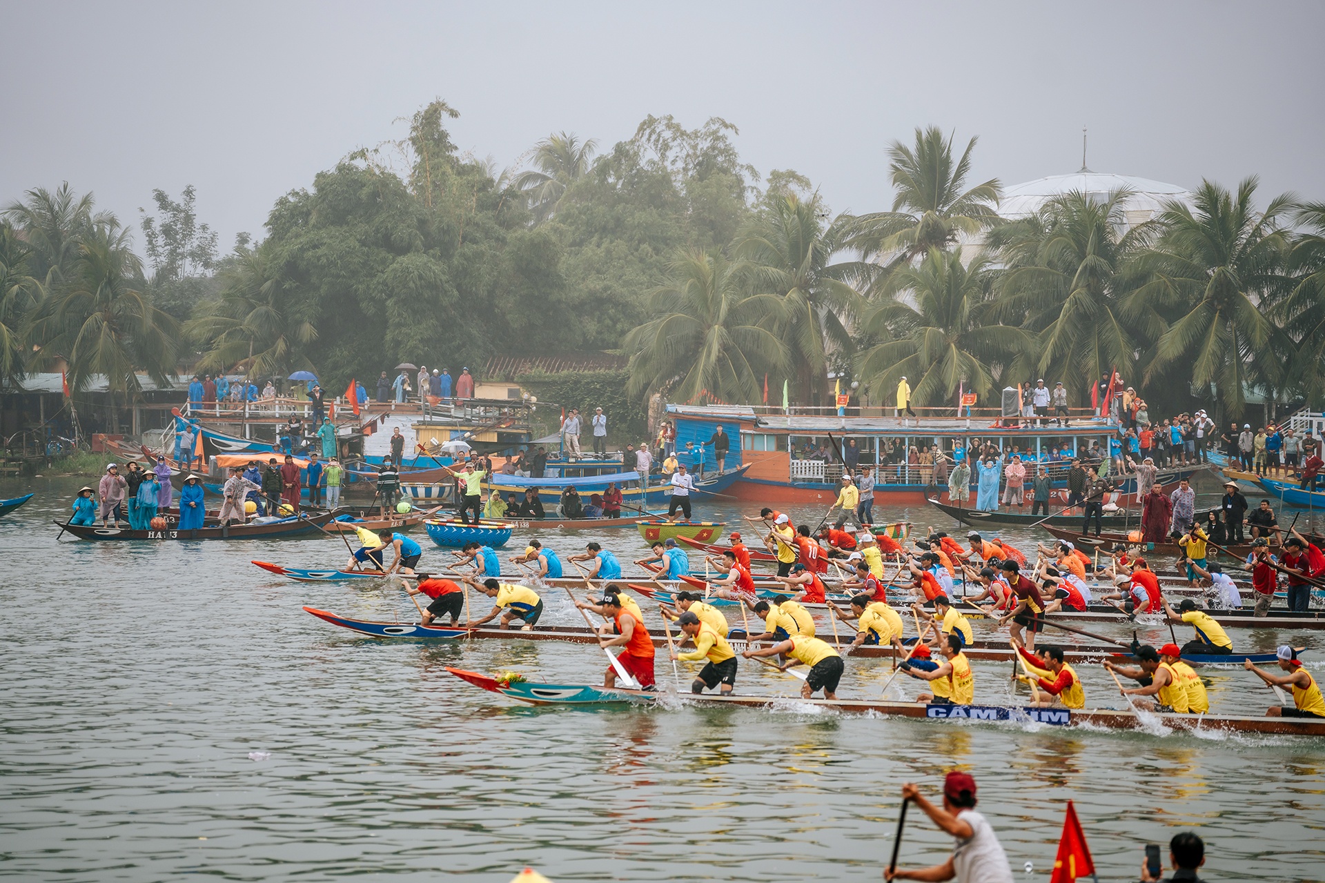 dua ghe Hoi An anh 3