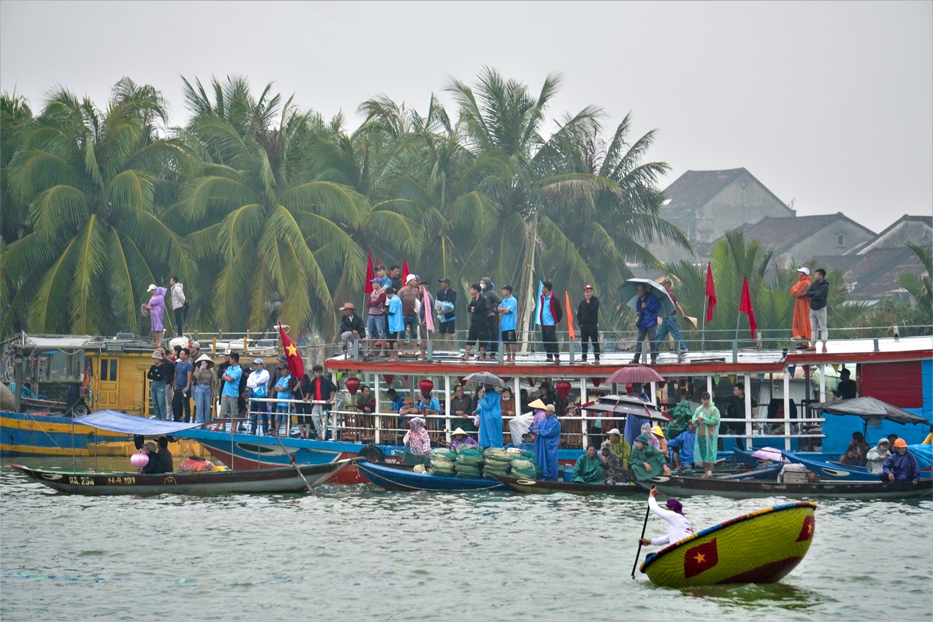 dua ghe Hoi An anh 4