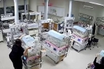 Đốn tim với hình ảnh nữ y tá lao vào phòng chăm sóc đặc biệt bảo vệ trẻ sơ sinh giữa trận động đất