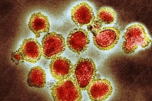Làn sóng dịch cúm bao trùm khắp Ấn Độ