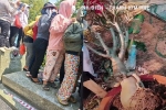 Xót xa hình ảnh mộ của NSƯT Thanh Kim Huệ bị giẫm đạp, hư hại sau lễ tang NSƯT Vũ Linh