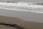 Thanh Hóa: Phát hiện thi thể nam giới đang phân hủy trôi dạt vào bờ biển