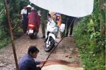 Quảng Nam: Va chạm làm 1 người chết, lái xe đến công an trình diện
