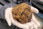Sự thật về 'xác ướp yêu tinh' 30.000 năm không tan rã trong mỏ vàng