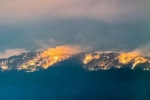 Vụ cháy trên đèo Prenn Đà Lạt: 10 ha rừng thông bị ảnh hưởng