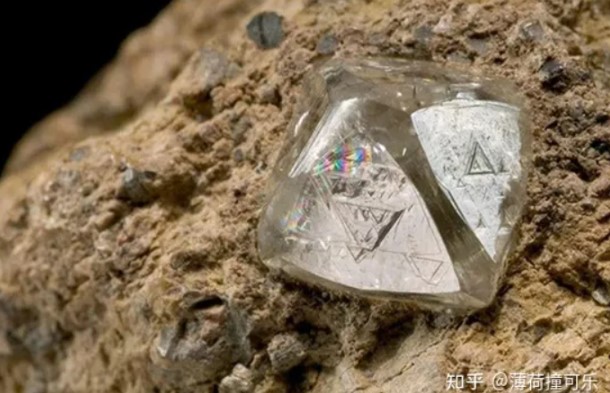 Đời sống - Mổ vịt bất ngờ phát hiện viên đá lạ, tưởng đồ bỏ đi hóa ra giá hơn 300 tỷ (Hình 2).