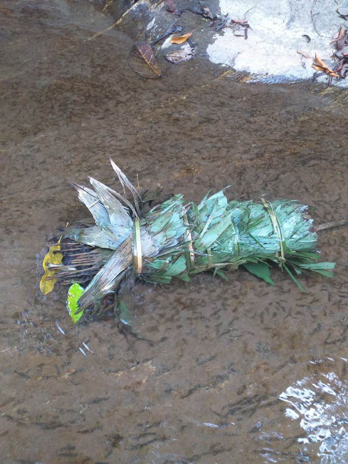 Cá trên sông ở Quảng Nam tiếp tục chết trắng, nghi bị đầu độc - Ảnh 3.