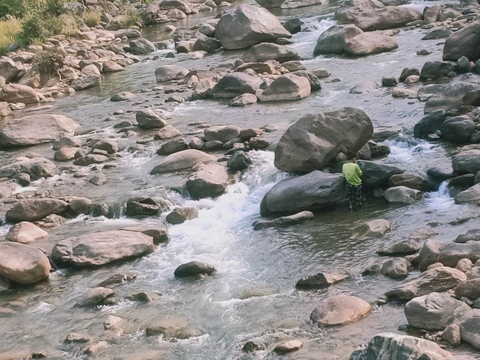 Cá trên sông ở Quảng Nam tiếp tục chết trắng, nghi bị đầu độc - Ảnh 4.