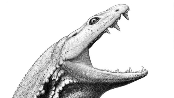 Tái sinh nòng nọc sát thủ khổng lồ: Quái vật bạo chúa già hơn khủng long - Ảnh 1.