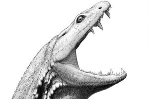 'Tái sinh' nòng nọc sát thủ khổng lồ: Quái vật bạo chúa già hơn khủng long