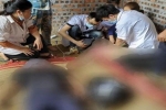 Lào Cai: Mẹ và con trai bị điện giật tử vong khi đang đầm nền nhà