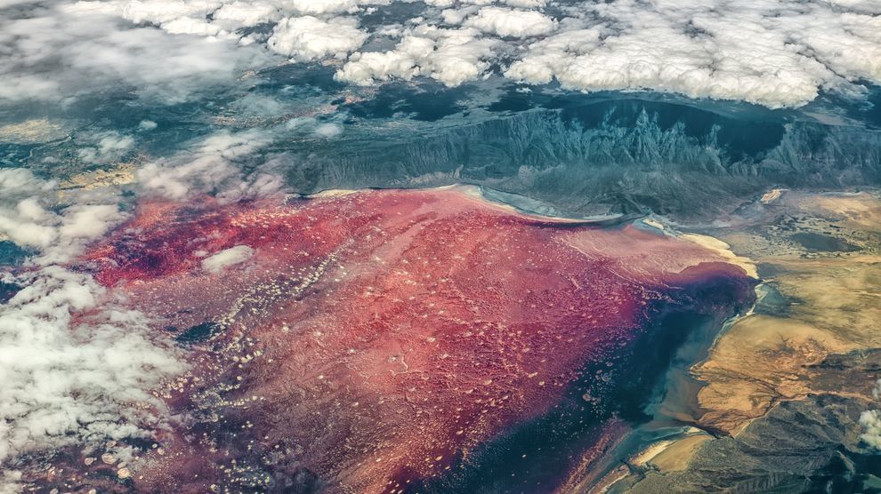 Đời sống - Hồ nước đỏ như máu tưởng đẹp nhưng lại khiến nhiều sinh vật 'hóa đá' (Hình 8).