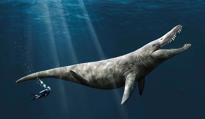 Mất tích 152 triệu năm, T-rex đại dương hiện ra bất ngờ giữa bảo tàng - Ảnh 1.