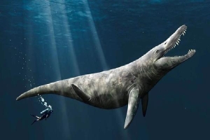 Mất tích 152 triệu năm, 'T-rex đại dương' hiện ra bất ngờ giữa bảo tàng
