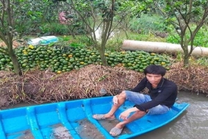 Bắt đối tượng đột nhập vào vườn cây ăn trái trộm trên 650kg cam sành