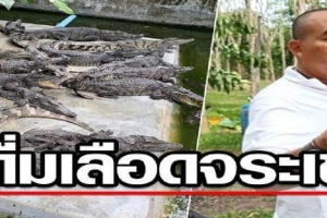 Doanh nhân Thái Lan gây tranh cãi vì uống tiết cá sấu để khỏe mỗi ngày