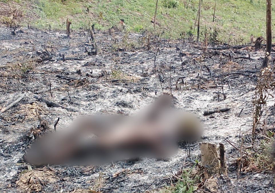 Dân sinh - Quảng Bình: Phát hiện thi thể người đàn ông bị cháy đen
