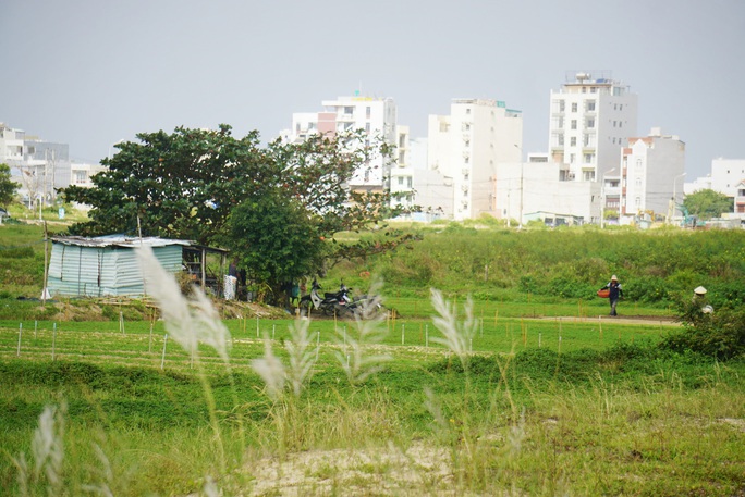 Công an Đà Nẵng tìm khách hàng mua đất tại dự án Diamond - Ảnh 2.