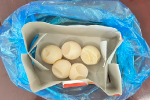 Phát hiện du khách nghi vận chuyển 5 quả trứng vích ở sân bay Côn Đảo
