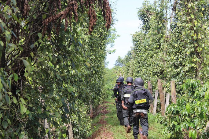 Hình ảnh cảnh sát đặc nhiệm truy bắt các đối tượng tấn công trụ sở Đắk Lắk - Ảnh 4.
