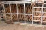 2 người đàn ông vận chuyển một con hổ sống nặng 235 kg