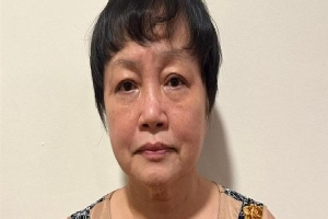 Bắt nữ cựu phó giám đốc Sở Kế hoạch và Đầu tư TP HCM Trần Thị Bình Minh