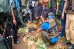 Chuyện chưa kể về những cuộc vây bắt 6 kẻ truy nã đặc biệt ở Đắk Lắk
