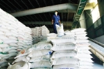Nhiều nước cấm xuất khẩu, Bộ Công Thương yêu cầu doanh nghiệp báo cáo thóc, gạo tồn kho