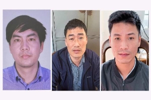 Lâm Đồng: Bắt giam 3 bị can liên quan sai phạm đất đai ở huyện Bảo Lâm