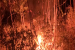 Chữa cháy rừng, 1 người bị chết não vì ngạt khói