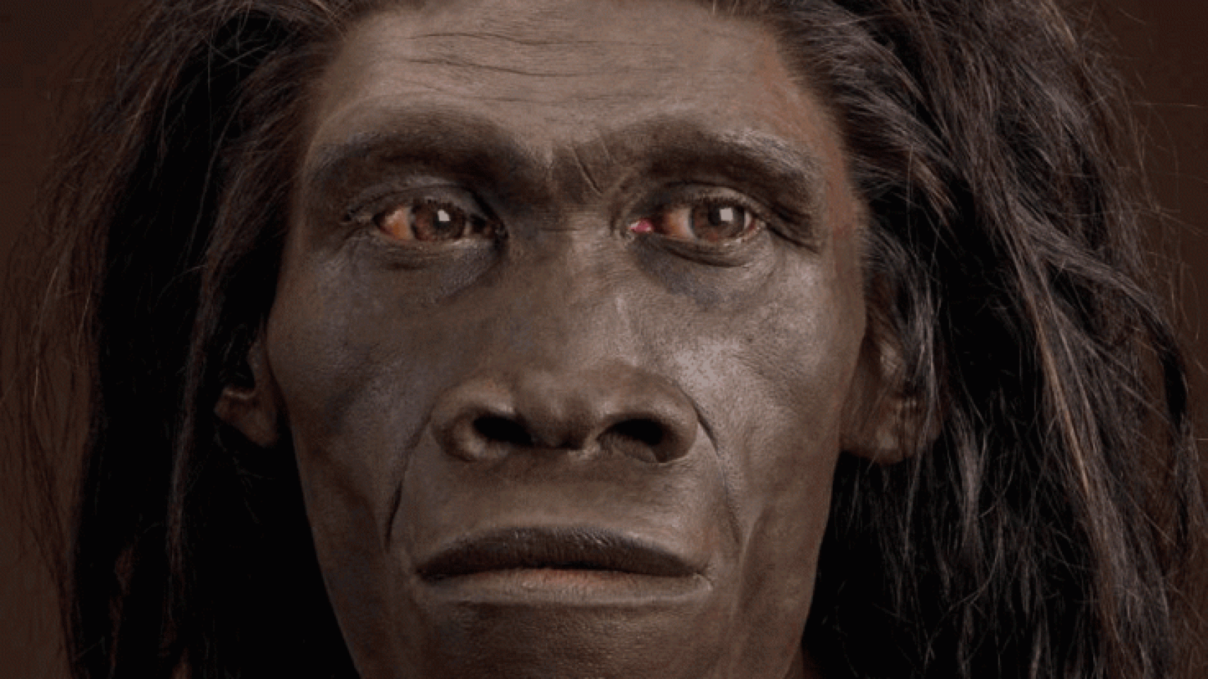 Lịch sử rung chuyển vì 150 vật lạ của vượn người 1,4 triệu tuổi - Ảnh 2.