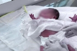 Khánh Hòa: Một bé gái sơ sinh còn nguyên dây rốn bị bỏ rơi bên bờ sông